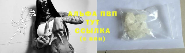 стаф Белоозёрский