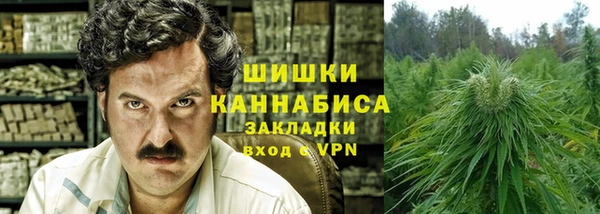 стаф Белоозёрский