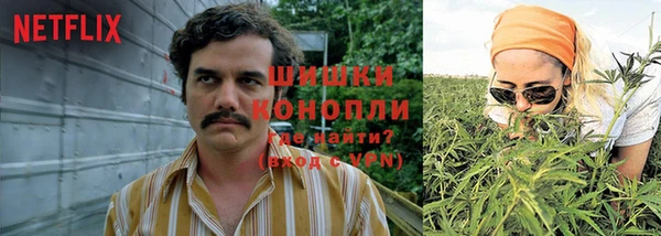 стаф Белоозёрский