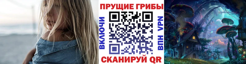 darknet официальный сайт  Будённовск  Псилоцибиновые грибы Cubensis  где продают  